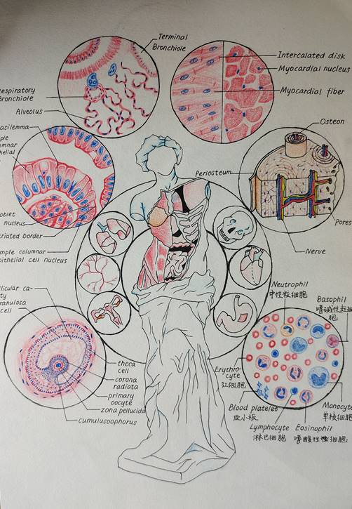 1.手绘 作品分类1 《镜下的永恒之美》91国产自拍
 田康祺