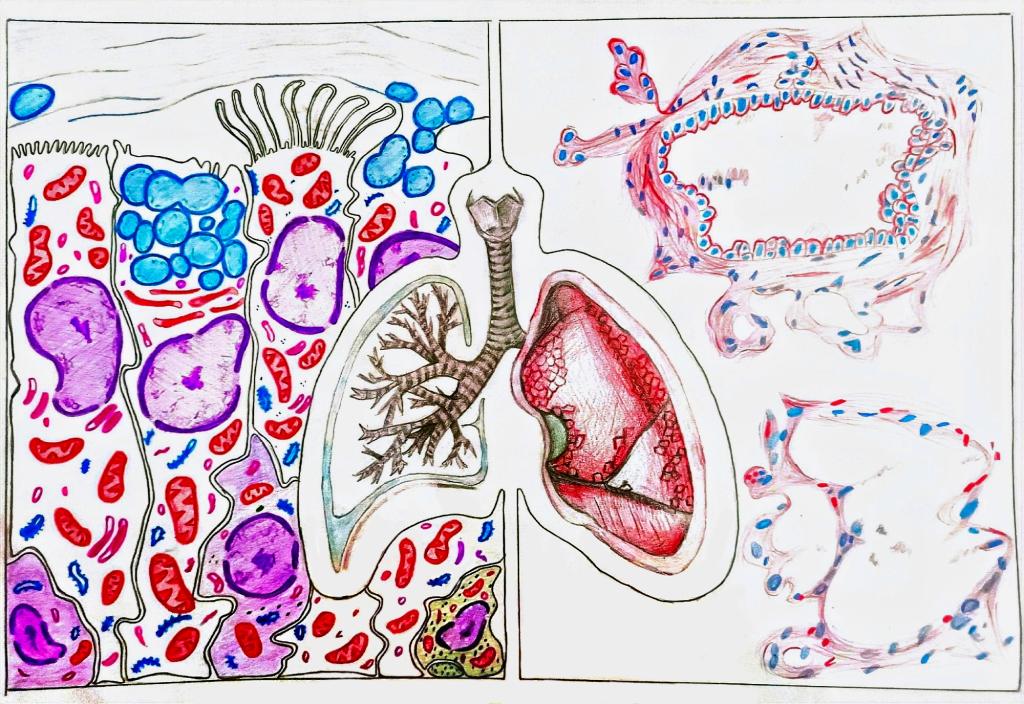 5.手绘 作品分类1《识“肺”》 91国产自拍
 杨佳欣